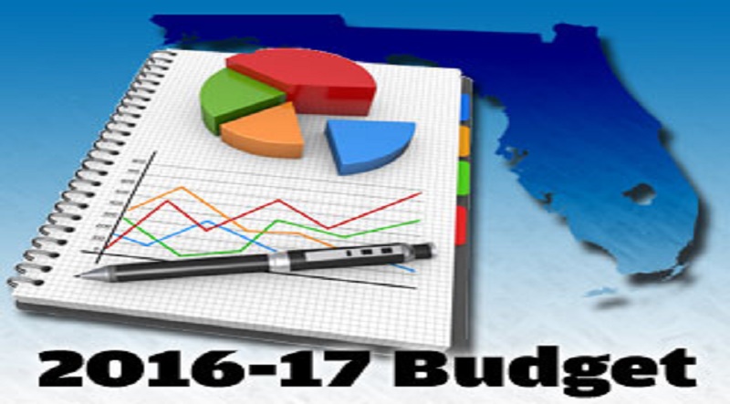 Fedral Budget 2016-17
