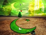 14 August 2016 HD Wallpapers (13)