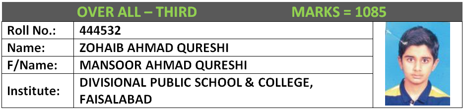 BISE Faisalabad Position Holders Matric 2017 Overall (5)