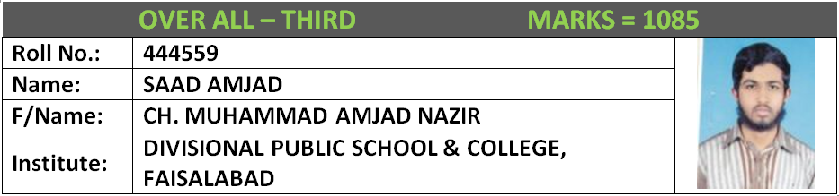 BISE Faisalabad Position Holders Matric 2017 Overall (6)