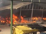 Islamabad Sasta Bazaar Caught Fire (9)