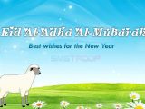 Eid-ul-Azha 2017 Wallpapers (13)