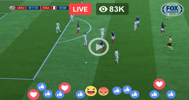 Uruguay vs France