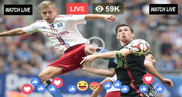 Hamburger SV vs Bayern Munich