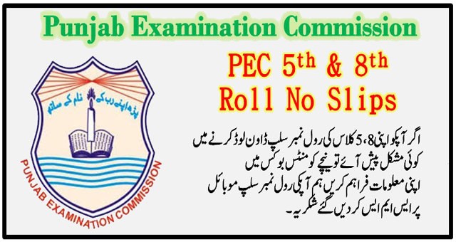 PEC Roll No Slips 2020