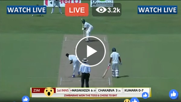 Zim-Batting-live