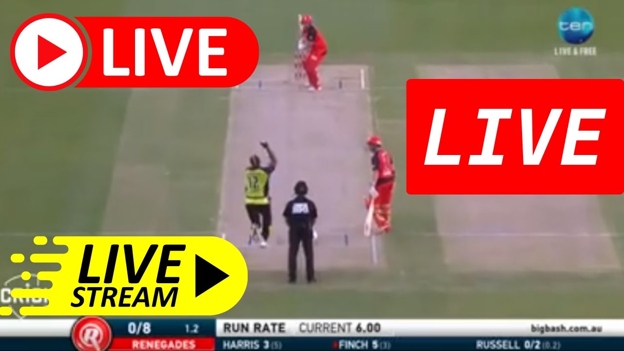MLR vs SYT 22nd T20
