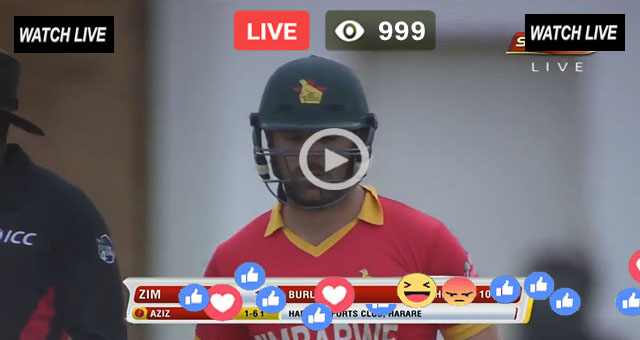 ZIM Batting Burl