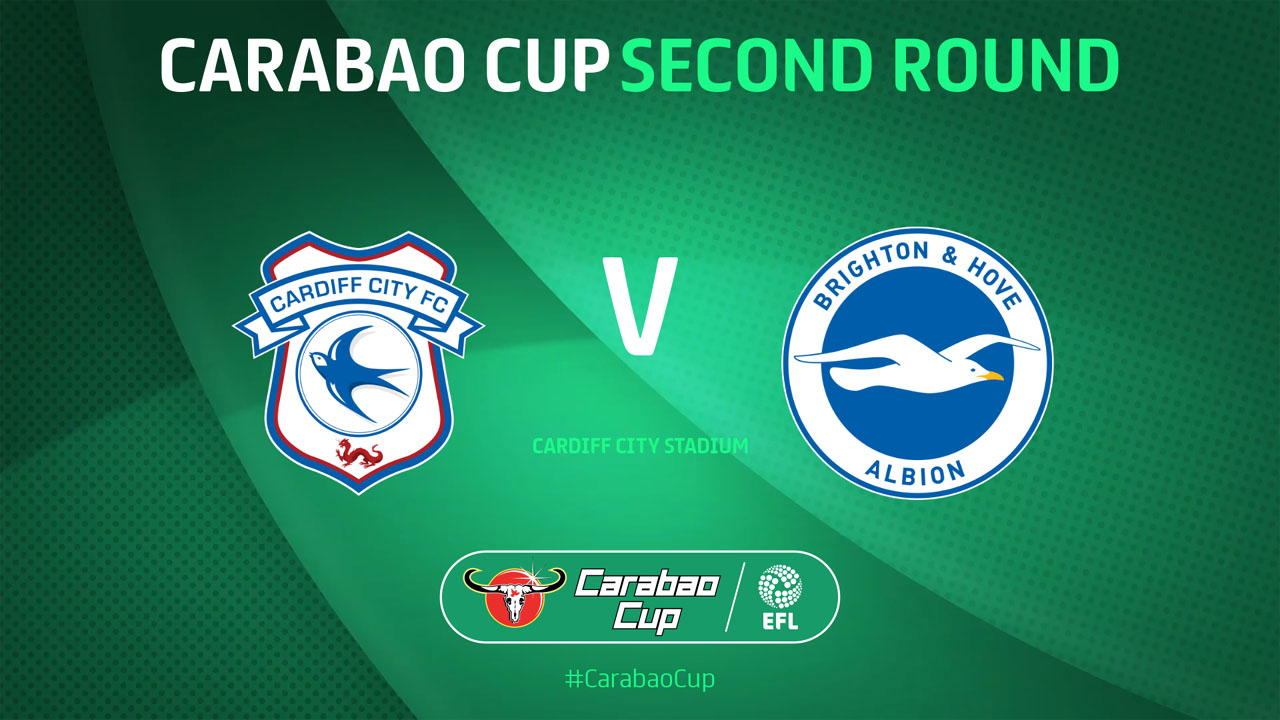Cardiff City vs Brighton Live Stream