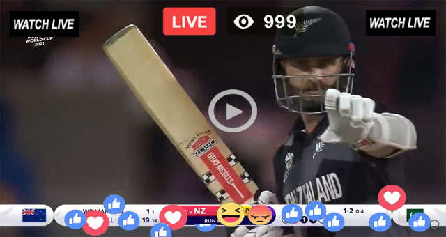 NZ Batting Williamson T20 WC