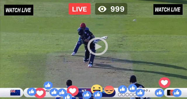 NZ Batting Live T20 WC