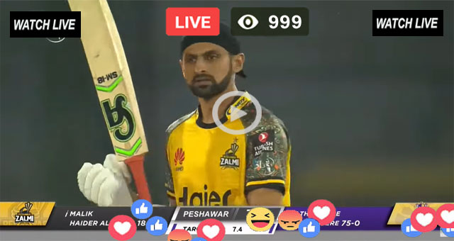 PZ Batting Shoaib Malik 2022
