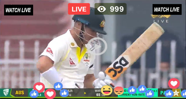 AUS Batting Test Warner