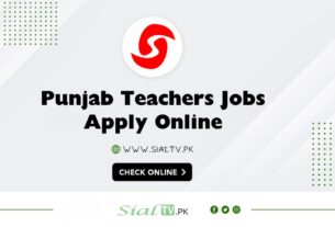 Temporary Teachers Recruitment Punjab 2025