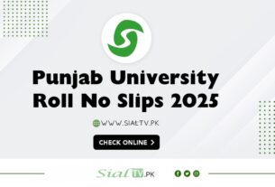 Punjab University Roll No Slips 2025